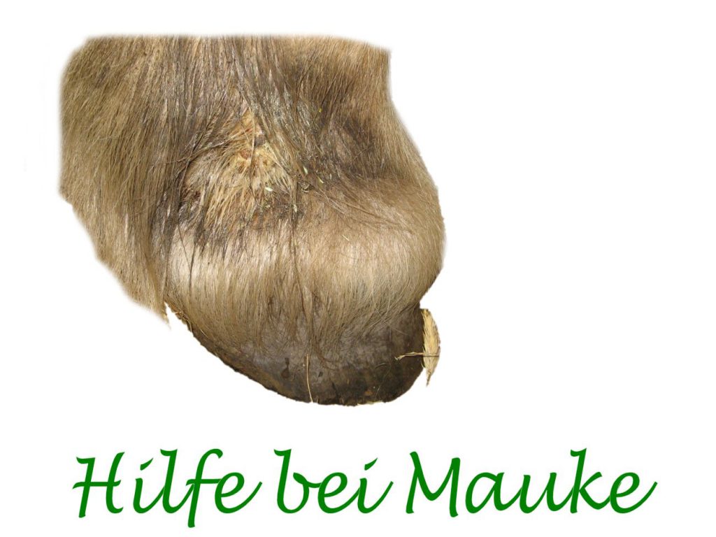 Mauke Blog